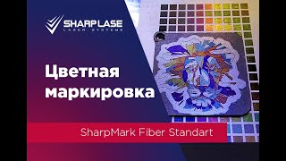 Цветная маркировка SharpMark Fiber Standart 30VAR