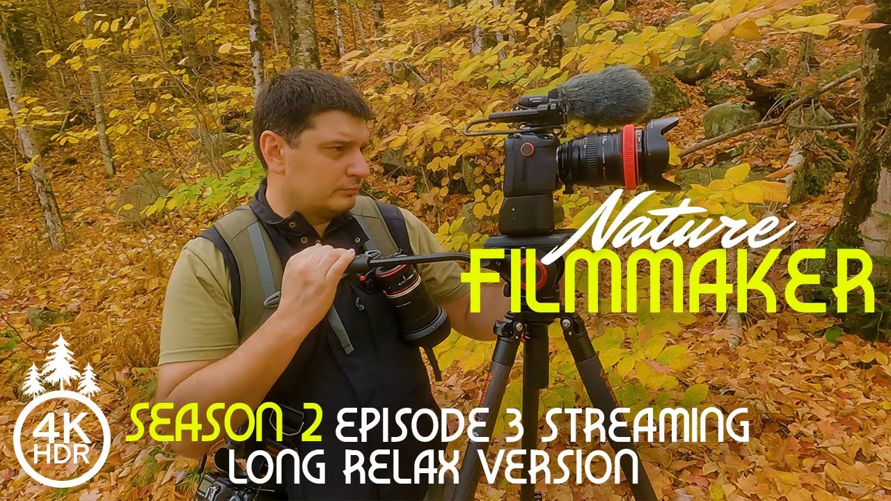 Filming Fall Foliage in New England 4K HDR - Nature Filmmaker - Se 2 Ep ...