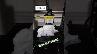 Turtle 3d printing work