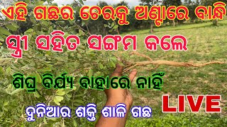 TEC BIGYAN ODIA LIVE | tecbigyan | tantra vidya | omkaar odia | tantra mantra odia | tbcodia live screenshot 2