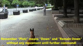 Down and Remain Down by ray7501 349 views 10 years ago 1 minute, 38 seconds