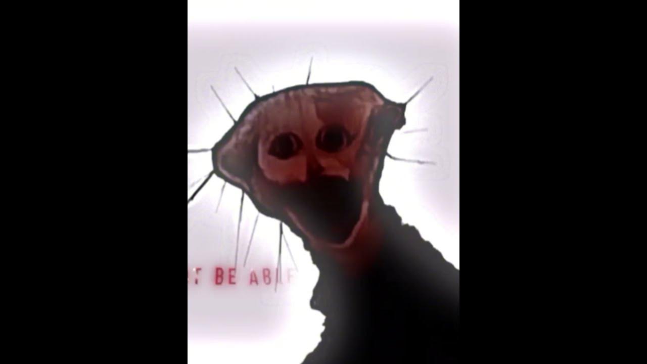 (THE BOILED ONE PHENOMENON) Phen-228 reversed voice line - YouTube