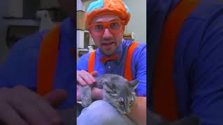 Blippi Pets a Cute Kitten at an Animal Shelter! | Blippi Toys | #blippi #shorts #animals