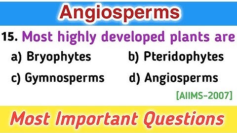 Angiosperm MCQ | Plant Kingdom MCQ for NEET | Biology Competitive Exams