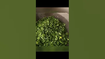 Afghani Bolani Easy Recipe How Recipe Recommended Easyrecipe Afghani Aliabbasfoodsecrets 