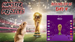 World Cup 2022 | Round of 16 Day 4 | One favorite will be knocked out! | Animal's football tips 🐹 by Have you seen my hamsters? 1,323 views 1 year ago 1 minute, 28 seconds