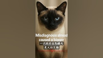 Nipah Virus Outbreak 1998  Misdiagnosis Almost Caused Disaster! #nipahvirus #misdiagnosis #deadly