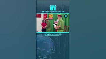 Nhà báo Hàn Ni đã xâm phạm bí mật đời tư của vợ chồng Phương Hằng như thế nào? | VTC1