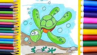 How to Draw Sea Turtle. Coloring Pages for Kids and Beginners