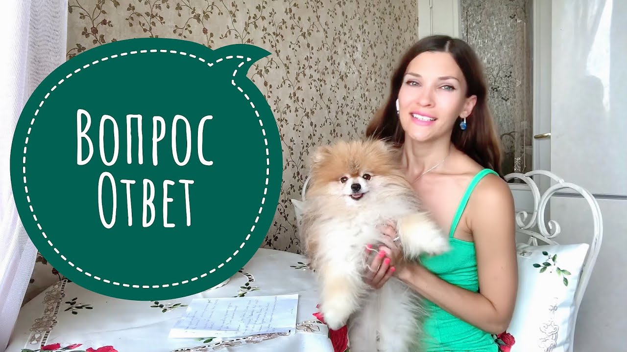 Тула корм авто