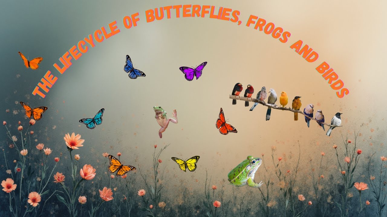 The Life Cycle of Butterflies, Birds, and Frogs