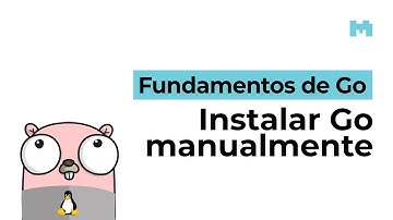 Instalar y configurar Go en Linux y MacOS a mano