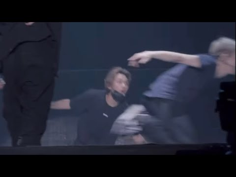 갓 태어난 타조인줄
