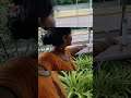 Cuddalore rains..comment below if your area also rains #shorts #youtubeshorts#heavyrain