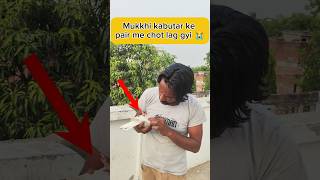 Mukkhi kabutar ke pair me chot lag gyi 😭🕊️#viral #pigeon #youtubeshorts