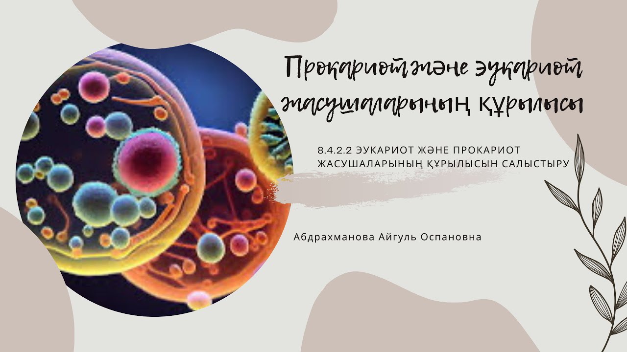 Порно үлкен чилен Катя Морозова порно көру