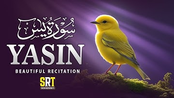 Every Day 🕋 🎧 🌆 Surah Yasin (Yaseen) سورة يس كاملة Full with Arabic Text & Translations EP .91
