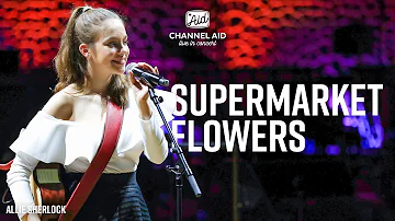 Allie Sherlock  - Supermarket Flowers by Ed Sheeran (Acoustic) [live from Elbphilharmonie Hamburg]
