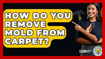 How Do You Remove Mold From Carpet? - LearnToDIY360.com