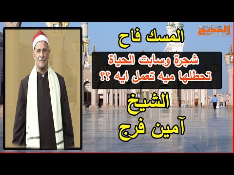 أجمل مواويل في مدح المصطفي م حمد صلوا عليه مع الشيخ أمين فرج 