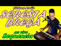 Gildenes Araújo-O Melhor Do Brega Ao Vivo-Sequencia de Seresta-Quem Eu Amava Foi Embora-Bebi Demais