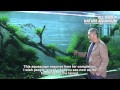 TAKASHI AMANO × SUMIDA AQUARIUM Final Episode