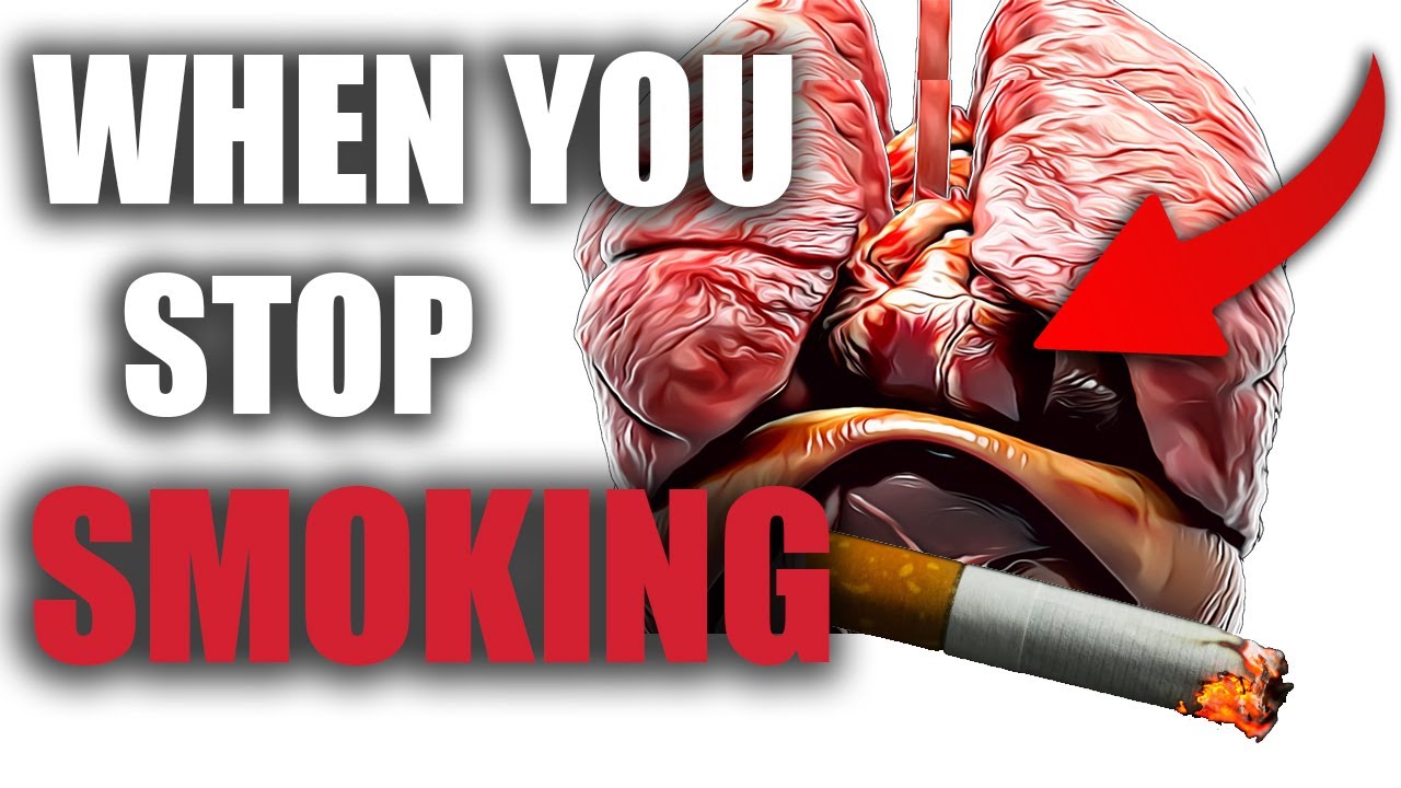 What happens to your body when you stop smoking - YouTube