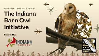 The Indiana Barn Owl Initiative Virtual Info Session