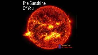 (GRUNGE ROCK) The Sunshine Of You – Sucker For A Pretty Face