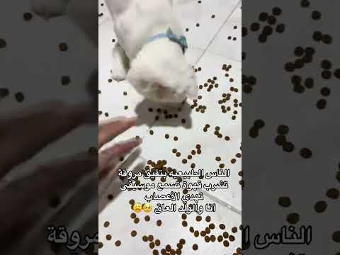 لك شوفو شو عمل فيني  اكسبلور