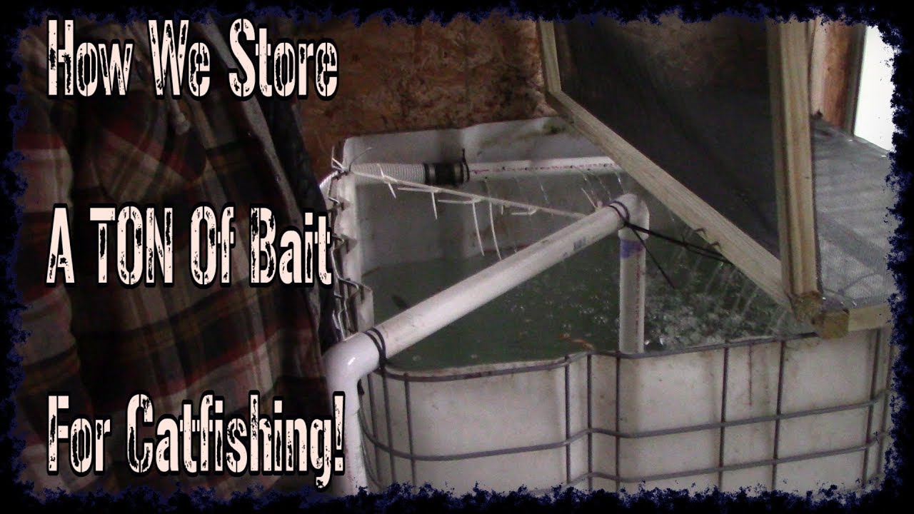 How To Store A TON of Bait For Catfishing YouTube