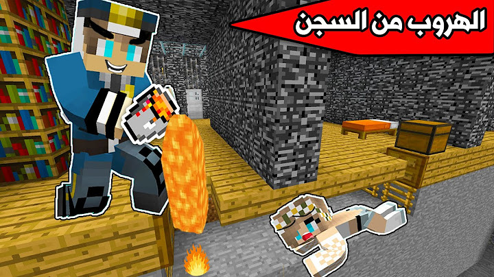 Minecraft Nub Prison and Professional Prison