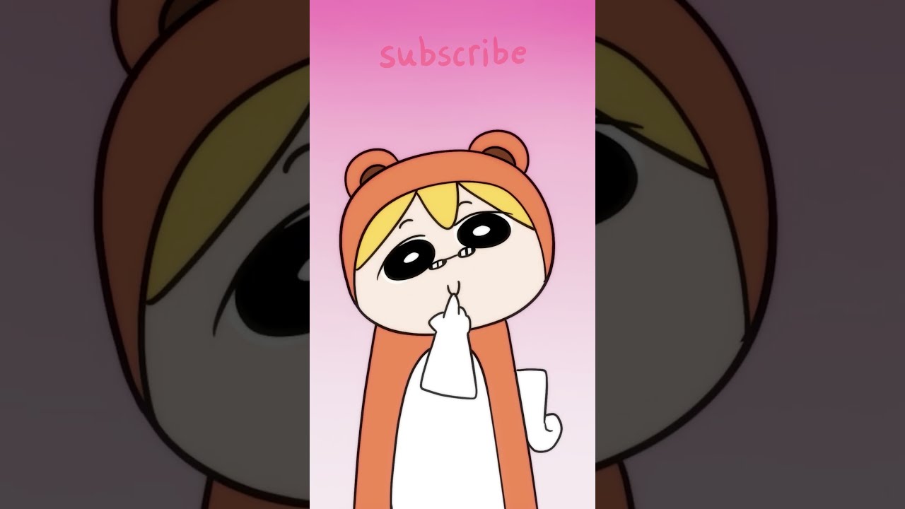 Socks Chan Nani Ga Suki 