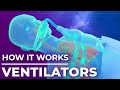 How ventilators work? Mechanical Ventilation Explained