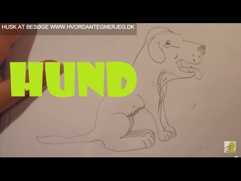 Video: Hvordan Man Lærer At Tegne En Hund