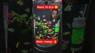 water 💦 change😃II aquarium water #shorts #yoytubeshorts #trending
