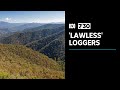 Allegations of widespread illegal logging in Victorian water catchment areas | 7.30