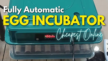 Fully Automatic Egg Incubator (48 Egg Capacity) – Step by Step Set-up & First Time Candling!