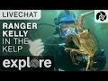 Ranger Kelly In The Kelp Scuba Diving - Underwater Live Chat