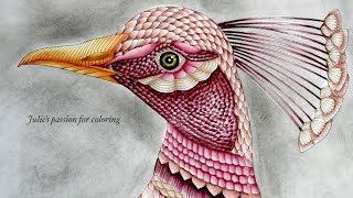 BEAUTIFUL BIRDS AND TREETOP TREASURES by Millie Marotta - color along screenshot 3