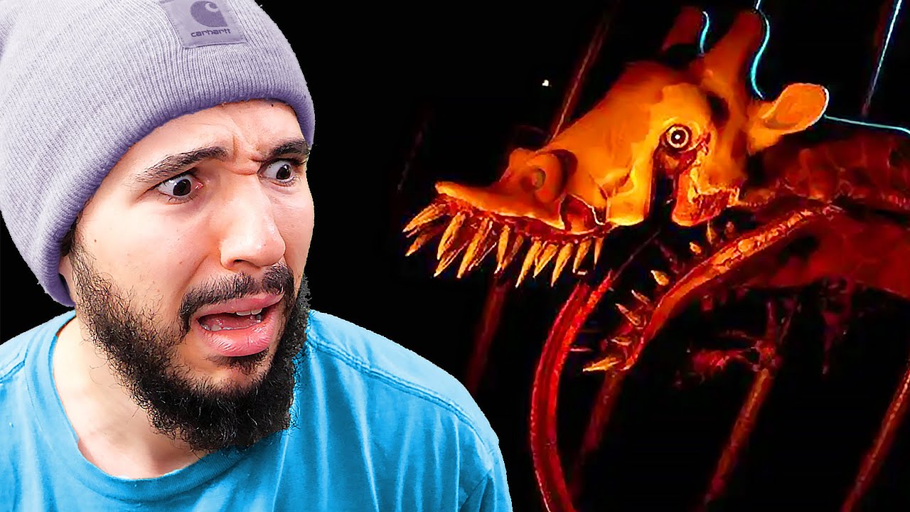 LES ANIMAUX DE CE ZOO SONT ÉTRANGES (Zoochosis)