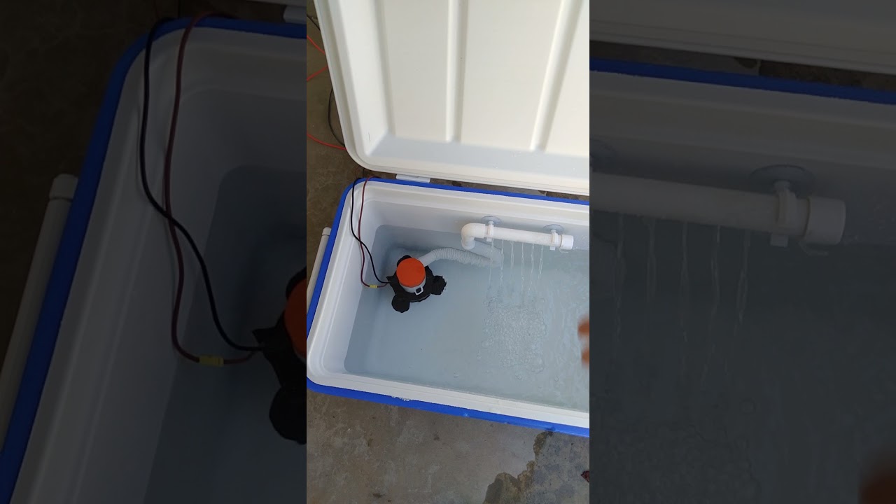 pond prowler 2021 livewell YouTube