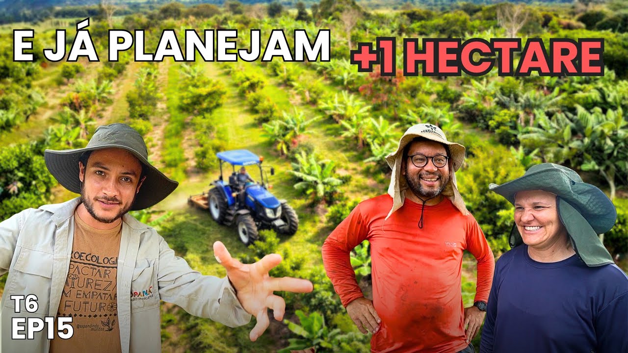 Eles contam o que aprenderam ao plantar 1ha de Agrofloresta