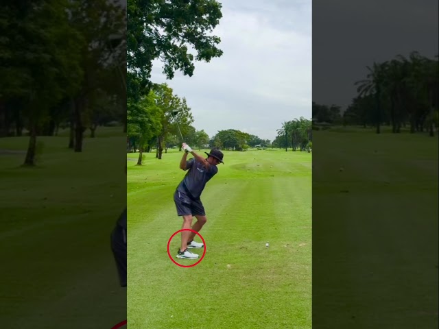【50歳のリアル】ドライバーの飛距離が変わる「右足の粘り」と脱力 #shorts