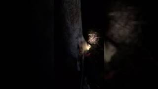 IMG 3826 MOV IMG 3826 MOV