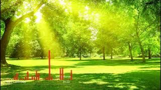 Sunny Morning – Music Bay | Royalty Free Music