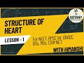 Anatomy of Heart 🫀 | NEET | RPSC 1st Grade | MSc | BSc 