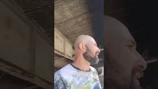 vamos salvar o mangue?