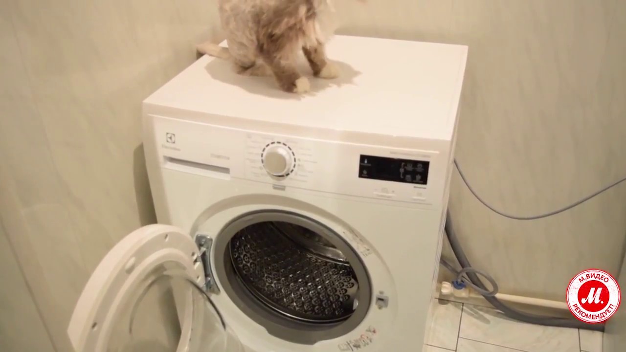 stiralnaya mashina s funkciej para