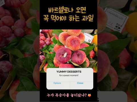 오늘의 스페인 복숭아 꿀팁 정리 @바쎌언니